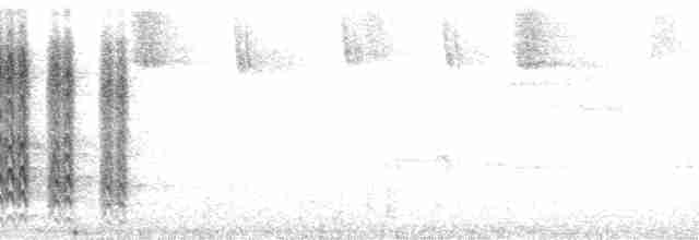 Гіла чорновола [група formicivorus] - ML165358