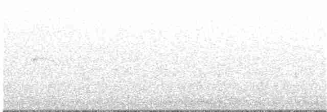 Great Reed Warbler - ML165396251