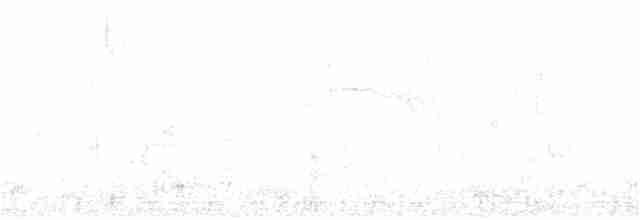 holub hřivnáč - ML165406301