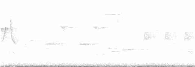 Голубокрылая червеедка - ML165412011