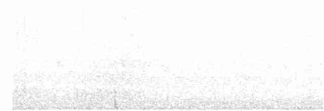 Малая воробьиная овсянка - ML165443011