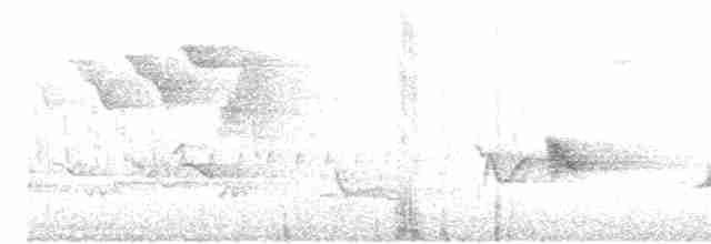 Чернокрылая пиранга - ML165443061