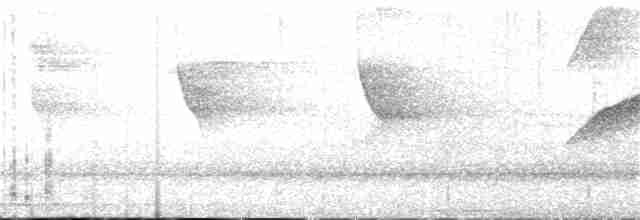 Шуліка-зубодзьоб рудогрудий - ML165449351