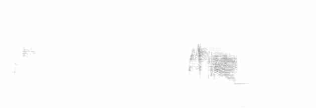 Ивовый мухолов - ML165488431