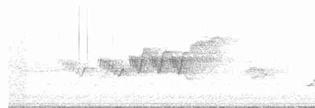 Cerulean Warbler - ML165490261