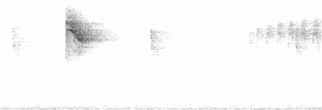 White-browed Warbler - ML165497451