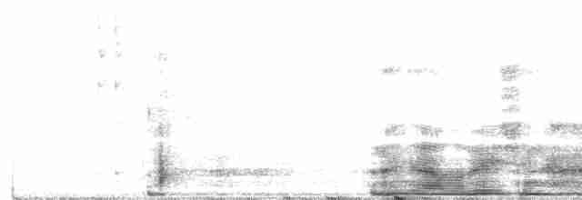 Blackpoll Warbler - ML165501361