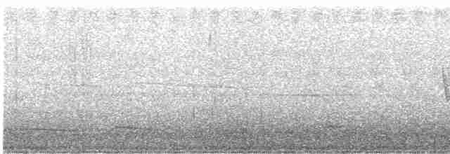 Black-crested Warbler - ML165521671