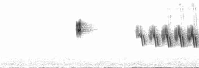 Arctic Warbler - ML165528081