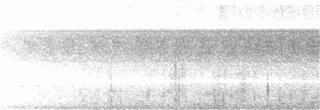 Gray-hooded Warbler - ML165551051