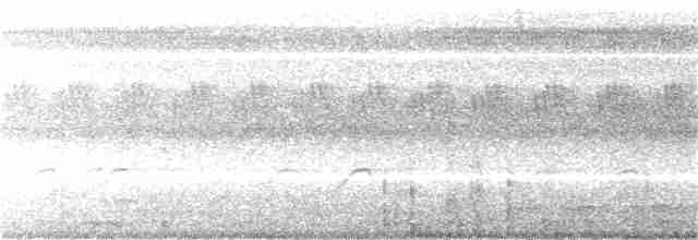 Garrulaxe à huppe blanche - ML165551181