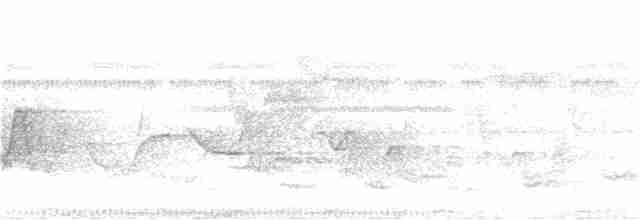 Тиран-інка буроголовий - ML165571001