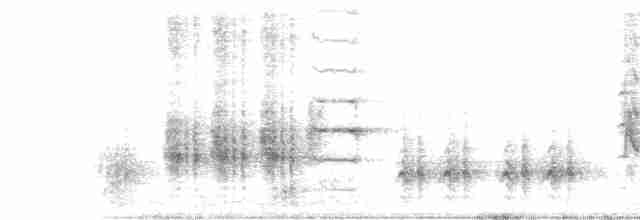 Great Reed Warbler - ML165588441