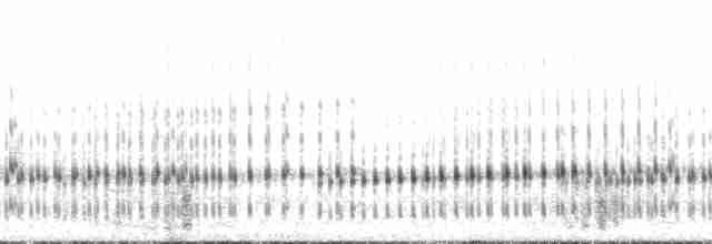 Boreal Chorus Frog - ML165589