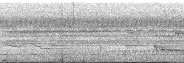 Grimpar barré (juruanus/polyzonus) - ML165600