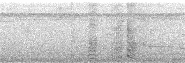 Kara Karınlı Sincap Guguğu - ML165607361