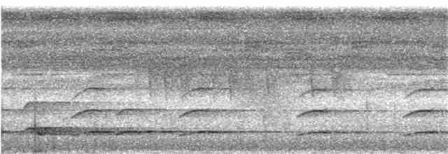 Toucan à bec rouge - ML165612661