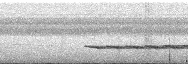 Schwarzgrau-Ameisenvogel - ML165619