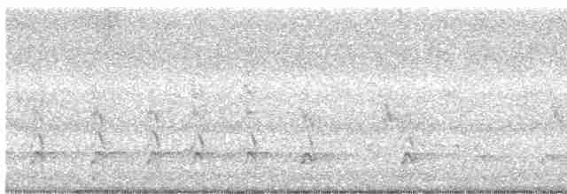 Pileated Woodpecker - ML165621551