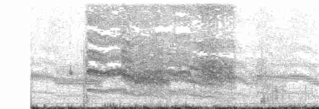 Common Tern - ML165621911