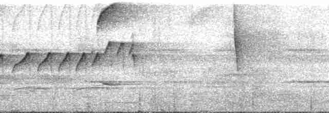 Тиран-карлик амазонійський - ML165624