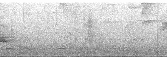 Kestane Karınlı Koca Tohumcul - ML165627