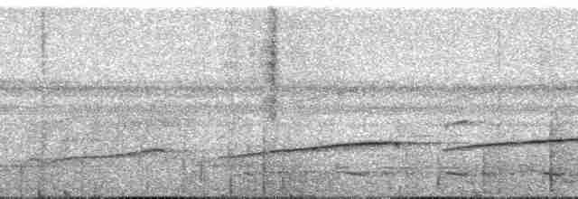 Sırtı Pullu Karıncakuşu - ML165658