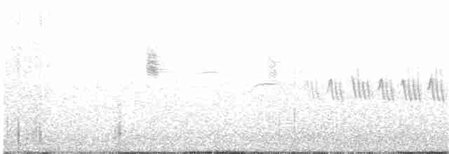 Arctic Warbler - ML165699671