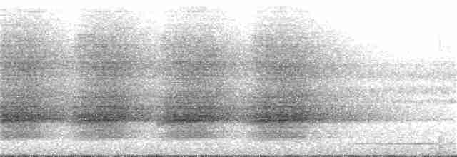 Paradisier d'Helena - ML165705201