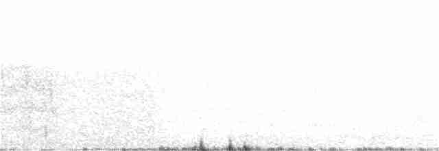 Тауї плямистий - ML165732861