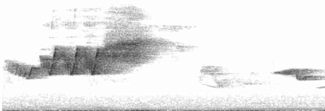 Cerulean Warbler - ML165733941