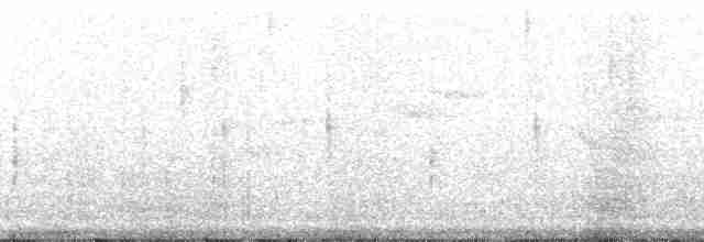 inka třpytivý - ML165743