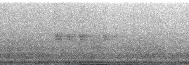 Mirlo Acuático Coroniblanco (leuconotus) - ML165751