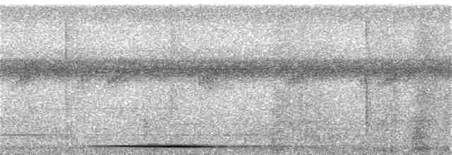 holub šedočelý - ML165768991