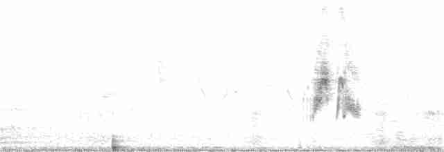 Ивовый мухолов - ML165778751
