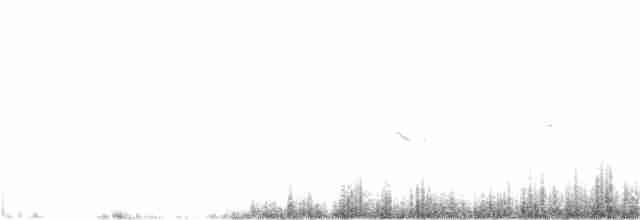 Rufous Fieldwren - ML165814191