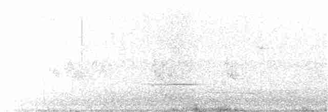 Кропив’янка чорноголова - ML165840251