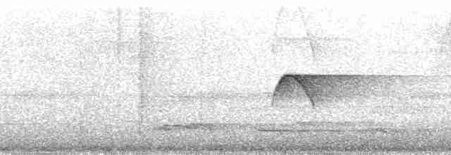 Монудо рудий (підвид aurantiiventris) - ML165842