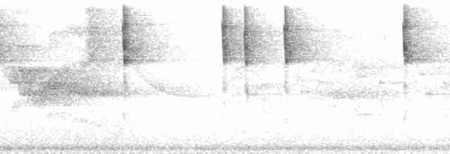 busktanagarspurv (postocularis gr.) - ML165849