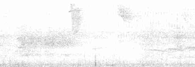 Сероголовый бентеви - ML165857
