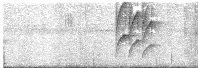 Sägeschnabel-Schattenkolibri - ML165860571