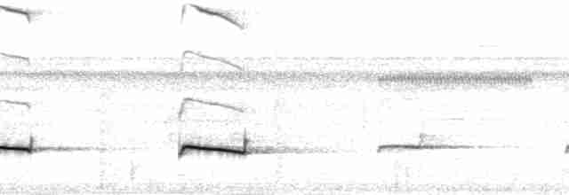 Braunrücken-Ameisenvogel [exsul-Gruppe] - ML165888
