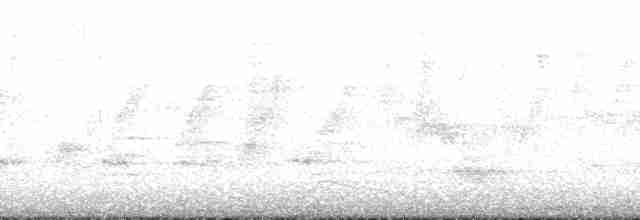 Mor Nektarkuşu - ML165901