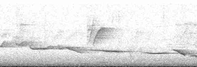 Turuncu Başlı Ardıç - ML165908