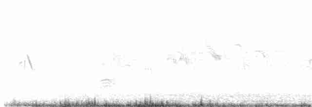 Long-tailed Rosefinch - ML165908701