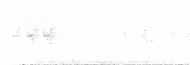 White-bellied Redstart - ML165945971
