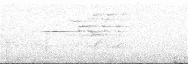 Дрозд-отшельник - ML165965861