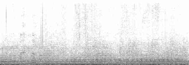 Белогорлая зонотрихия - ML165991081