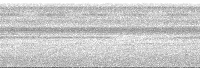 Cinereous Tinamou - ML166020