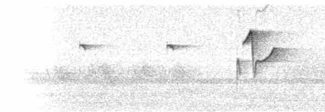 Western Flycatcher (Pacific-slope) - ML166034741